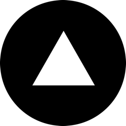 surveyo.site favicon